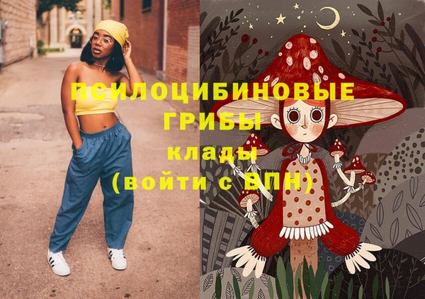 тгк Алексин