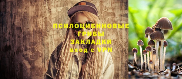 тгк Алексин