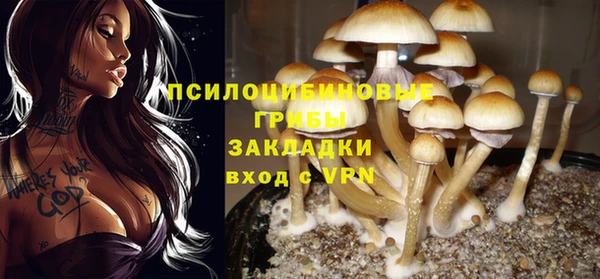 стафф Алексеевка