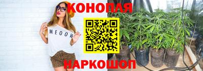 мяу мяу мука Жуковский