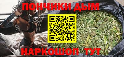 spice Гатчина