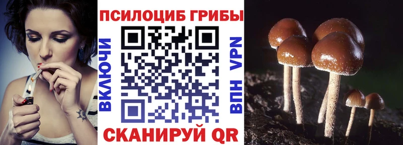 MEGA как зайти дарнет шоп Гусь-Хрустальный Галлюциногенные грибы MAGIC MUSHROOMS