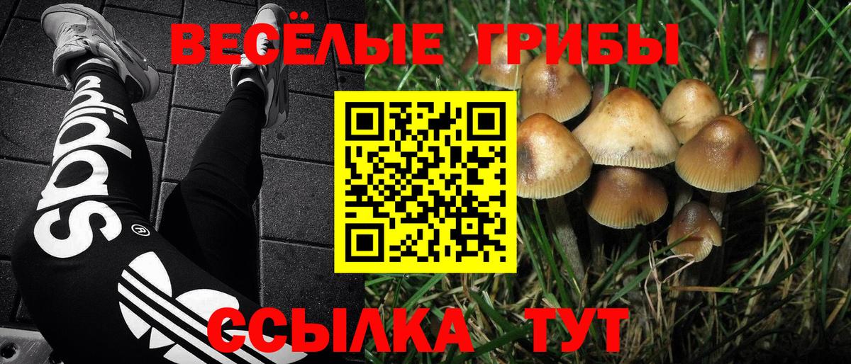 Галлюциногенные грибы Magic Shrooms  Вход с VPN  Гусь-Хрустальный  Галлюциногенные грибы мицелий 