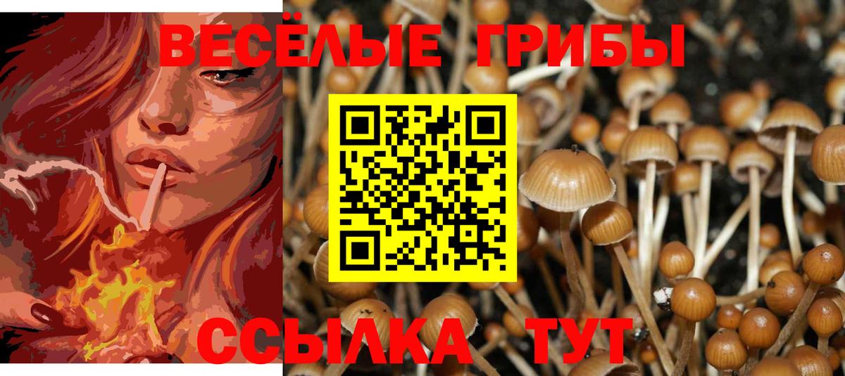Псилоцибиновые грибы MAGIC MUSHROOMS  купить   Гусь-Хрустальный 
