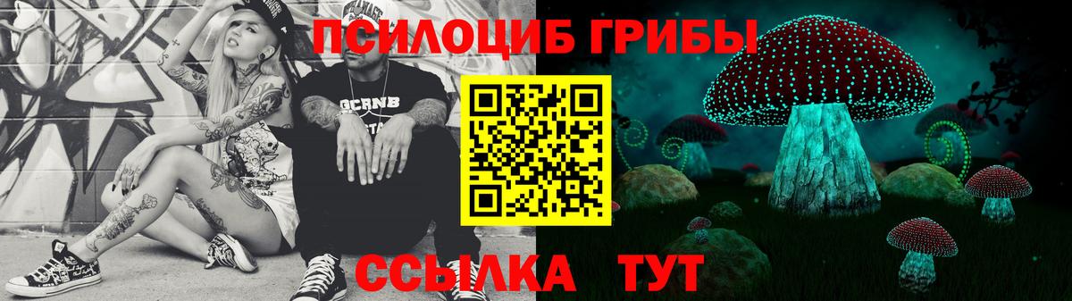 Псилоцибиновые грибы мицелий Гусь-Хрустальный